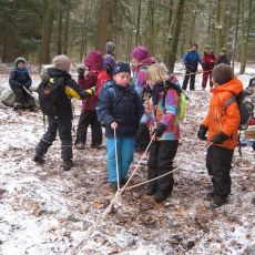 Eine Gruppe von Kindern im Wald. Es liegt etwas Schnee. Drei Kinder im Vordergrund ziehen an Seilen. 